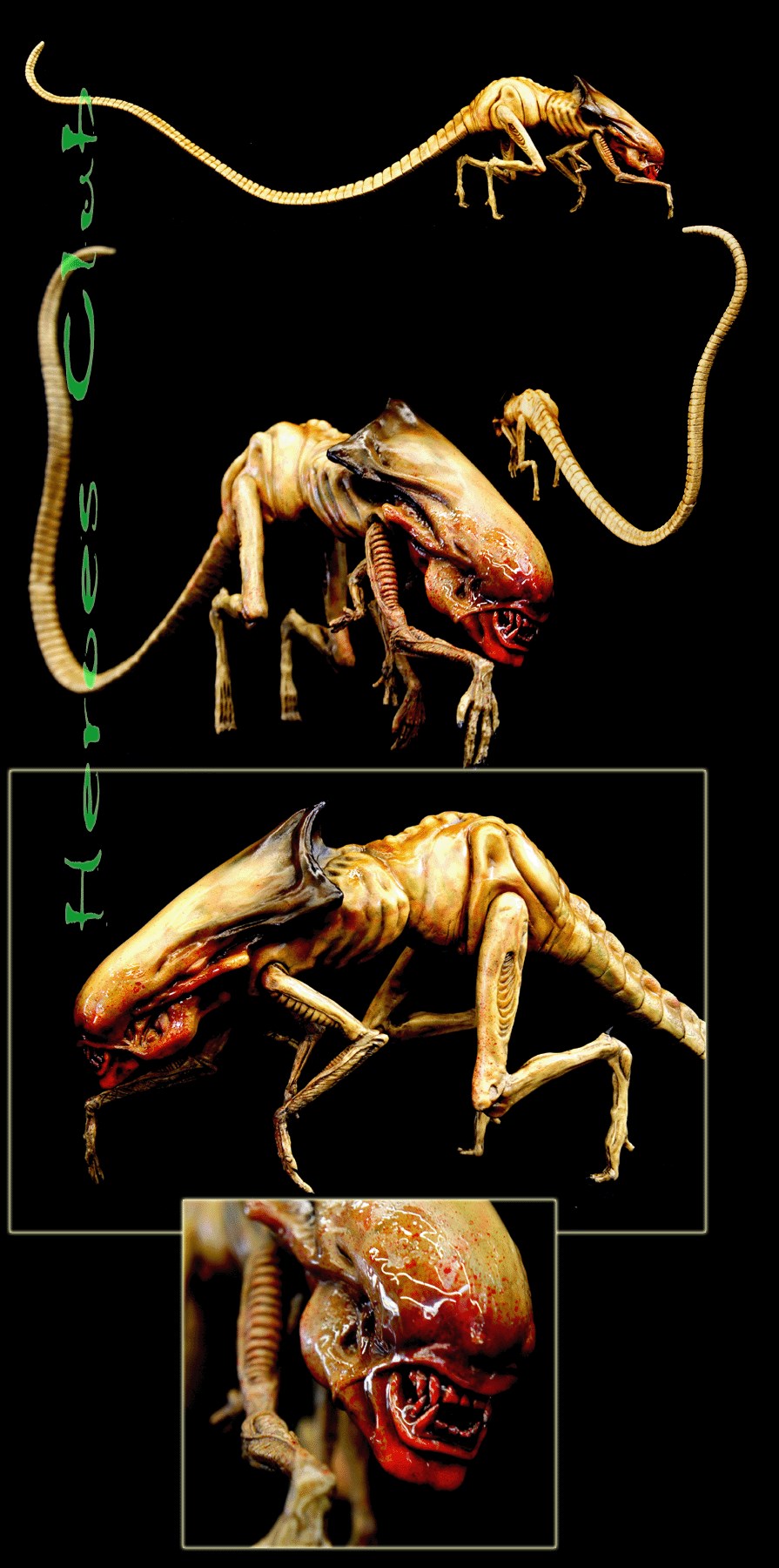 AlienCollectors.com - Your Alien Figures and Merchandising Web Portal, image size:895x1800